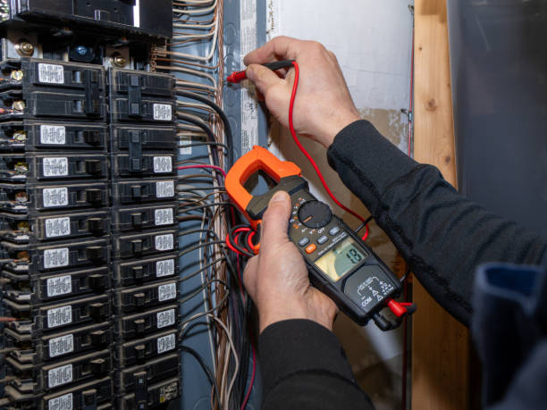 Best Home Electrical Repair  in Avoca, IA